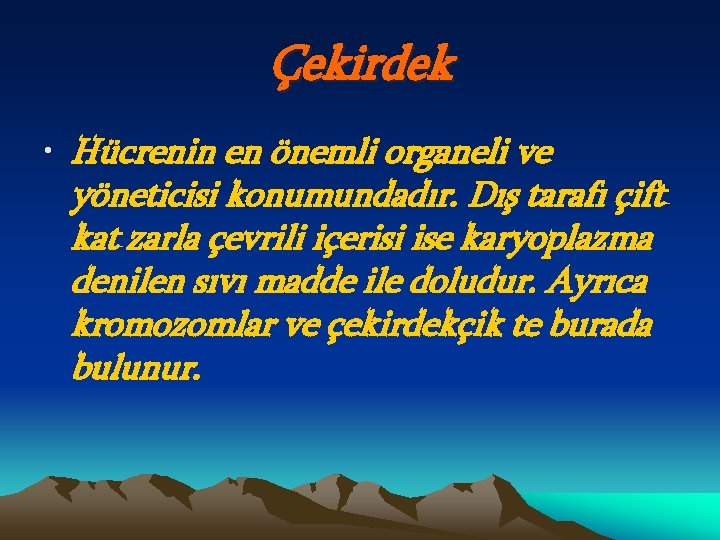 Çekirdek • Hücrenin en önemli organeli ve yöneticisi konumundadır. Dış tarafı çift kat zarla