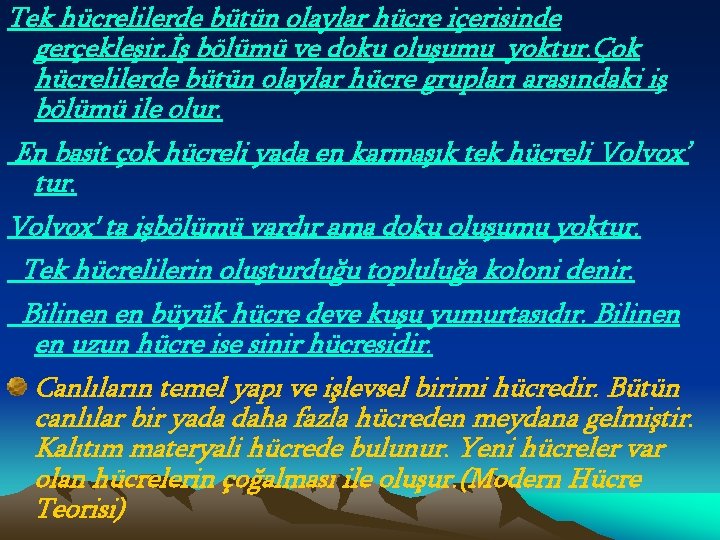 Tek hücrelilerde bütün olaylar hücre içerisinde gerçekleşir. İş bölümü ve doku oluşumu yoktur. Çok