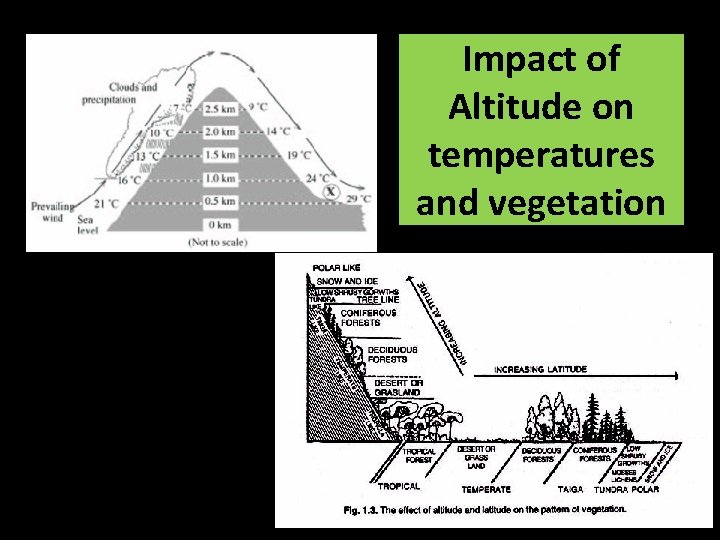Impact of Altitude on temperatures and vegetation 