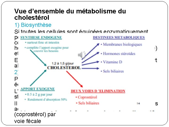 Vue d’ensemble du métabolisme du cholestérol 1) Biosynthèse Si toutes les cellules sont équipées