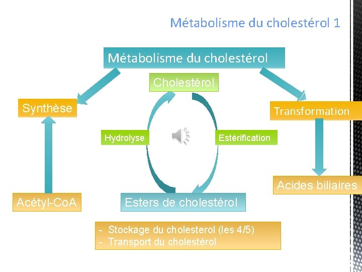 Métabolisme du cholestérol 1 Métabolisme du cholestérol Cholestérol Synthèse Transformation Hydrolyse Estérification Acides biliaires