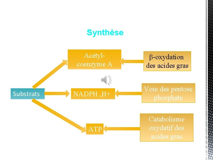 Synthèse Substrats Acétylcoenzyme A -oxydation des acides gras NADPH , H+ Voie des pentose