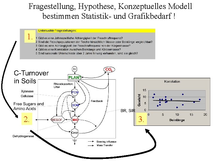 Fragestellung, Hypothese, Konzeptuelles Modell bestimmen Statistik- und Grafikbedarf ! 1. 2. 3. 