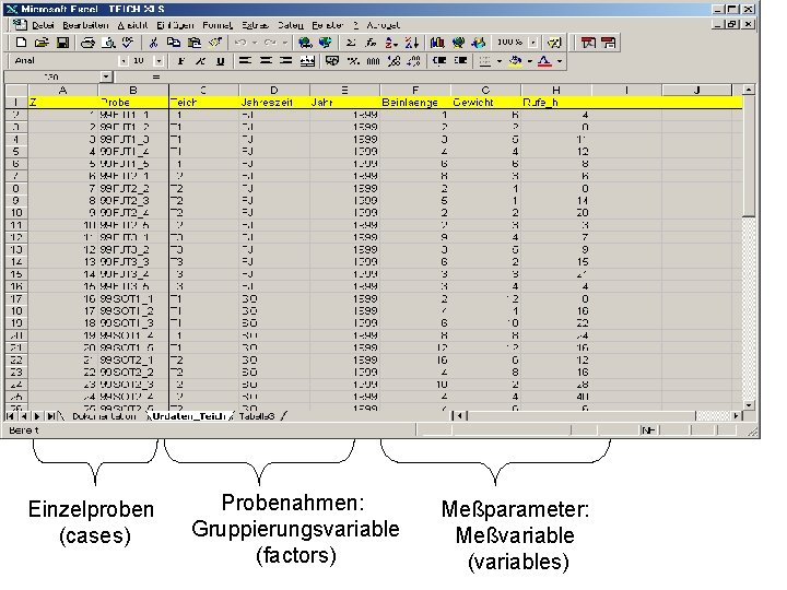 Einzelproben (cases) Probenahmen: Gruppierungsvariable (factors) Meßparameter: Meßvariable (variables) 