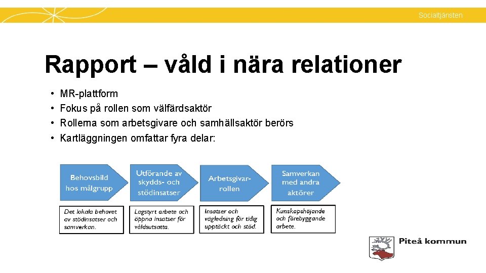 Socialtjänsten Rapport – våld i nära relationer • • MR-plattform Fokus på rollen som