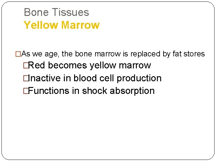 Bone Tissues Yellow Marrow �As we age, the bone marrow is replaced by fat