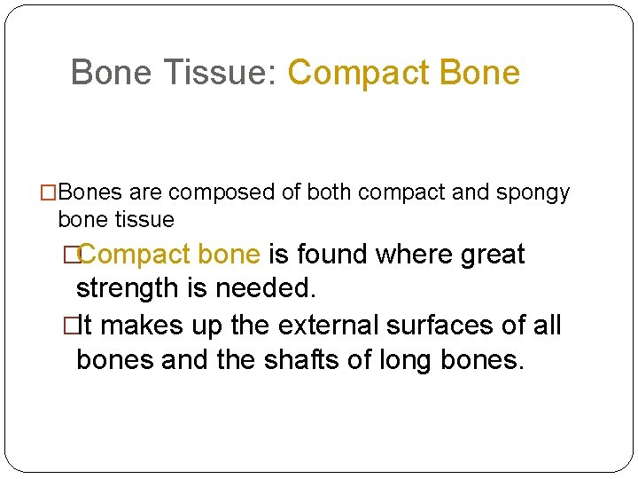 Bone Tissue: Compact Bone �Bones are composed of both compact and spongy bone tissue Bone Tissue: Compact Bone �Bones are composed of both compact and spongy bone tissue