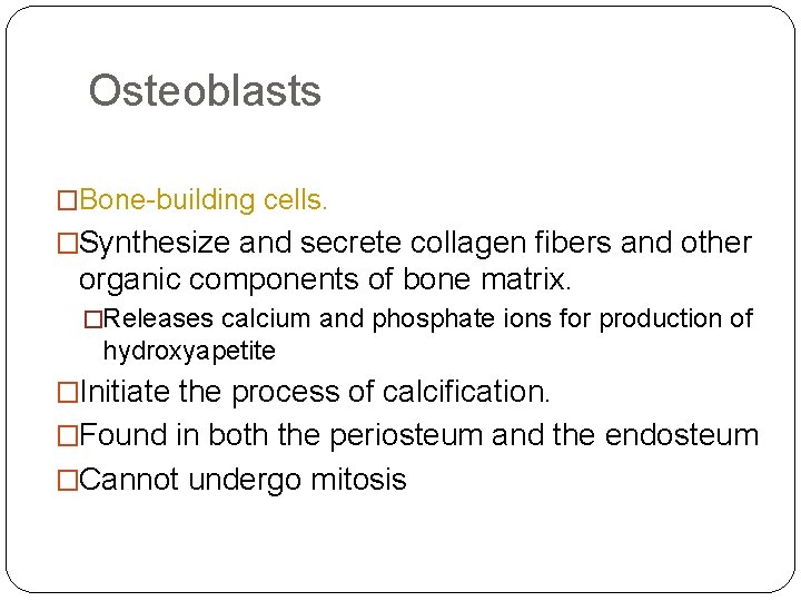 Osteoblasts �Bone-building cells. �Synthesize and secrete collagen fibers and other organic components of bone