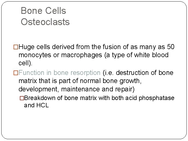 Bone Cells Osteoclasts �Huge cells derived from the fusion of as many as 50 Bone Cells Osteoclasts �Huge cells derived from the fusion of as many as 50