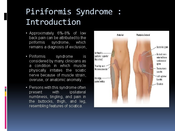 Piriformis Syndrome : Introduction • Approximately 6%-8% of low back pain can be attributed