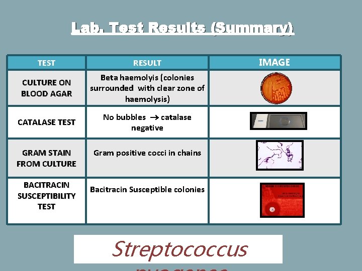Lab. Test Results (Summary) TEST RESULT CULTURE ON BLOOD AGAR Beta haemolyis (colonies surrounded