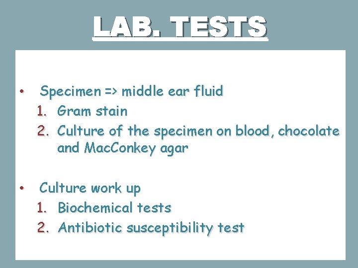 LAB. TESTS • Specimen => middle ear fluid 1. Gram stain 2. Culture of