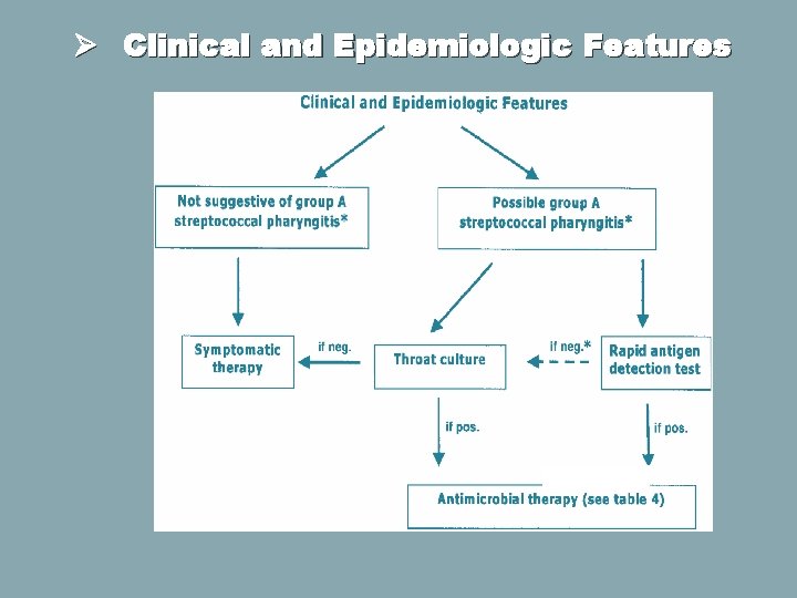 Ø Clinical and Epidemiologic Features 