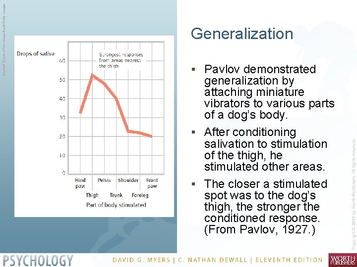 Macduff Everton/The Image Bank/Getty Images Generalization § Pavlov demonstrated generalization by attaching miniature vibrators