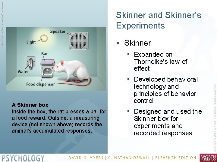 Macduff Everton/The Image Bank/Getty Images Skinner and Skinner’s Experiments § Skinner § Expanded on