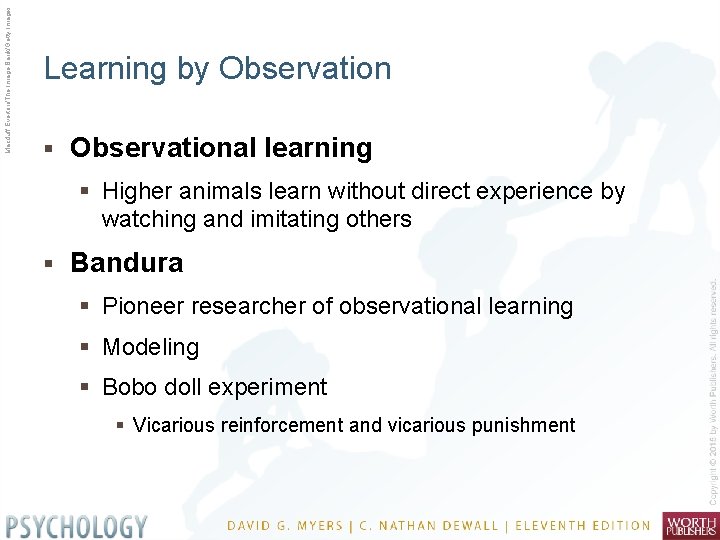 Macduff Everton/The Image Bank/Getty Images Learning by Observation § Observational learning § Higher animals