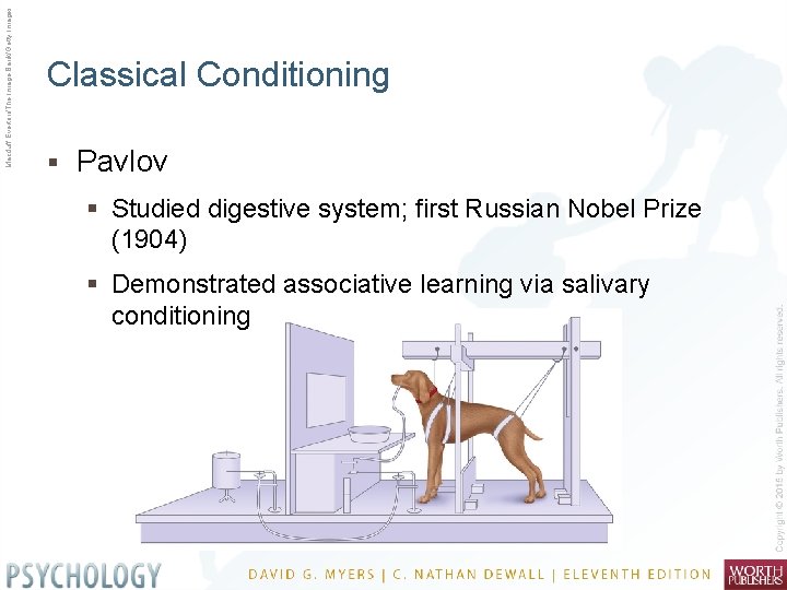 Macduff Everton/The Image Bank/Getty Images Classical Conditioning § Pavlov § Studied digestive system; first