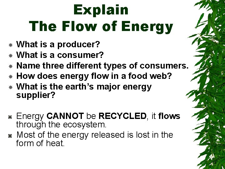 Explain The Flow of Energy What is a producer? What is a consumer? Name