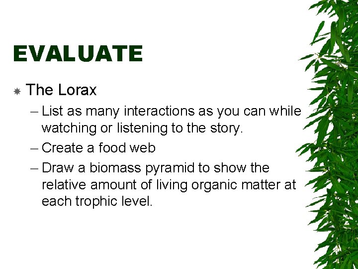 EVALUATE The Lorax – List as many interactions as you can while watching or