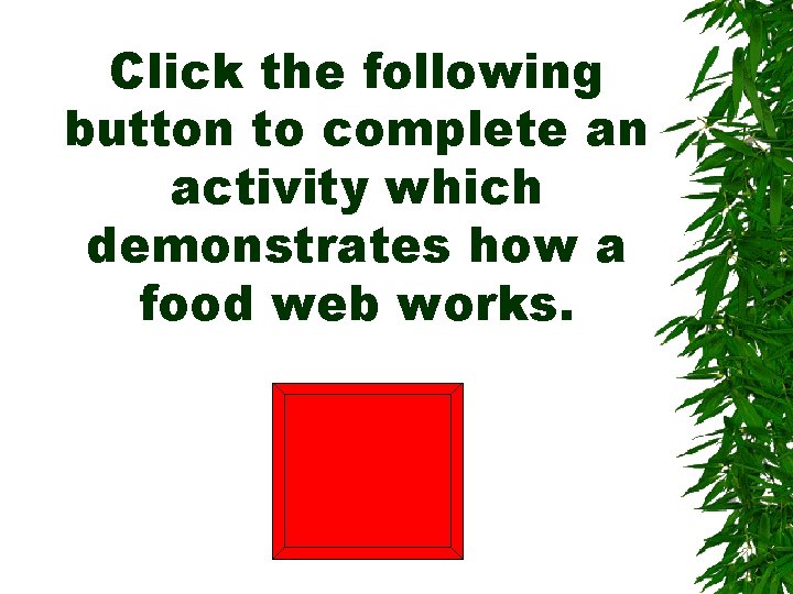 Click the following button to complete an activity which demonstrates how a food web