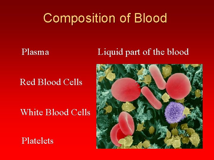 Composition of Blood Plasma Red Blood Cells White Blood Cells Platelets Liquid part of
