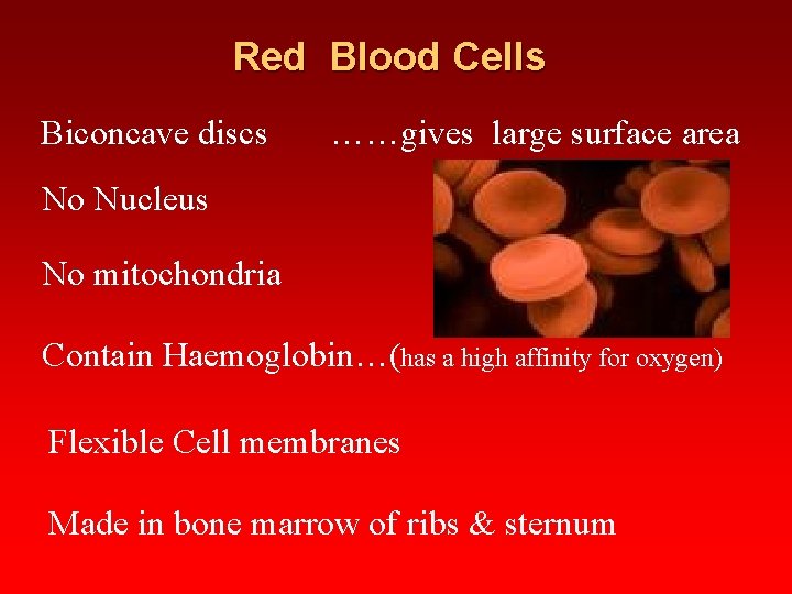 Red Blood Cells Biconcave discs ……gives large surface area No Nucleus No mitochondria Contain