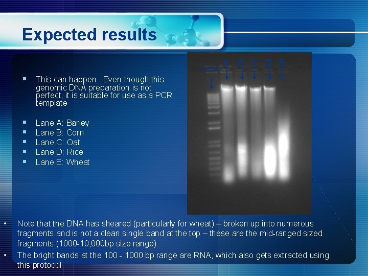 Expected results Ladder A B C D E § This can happen. Even though