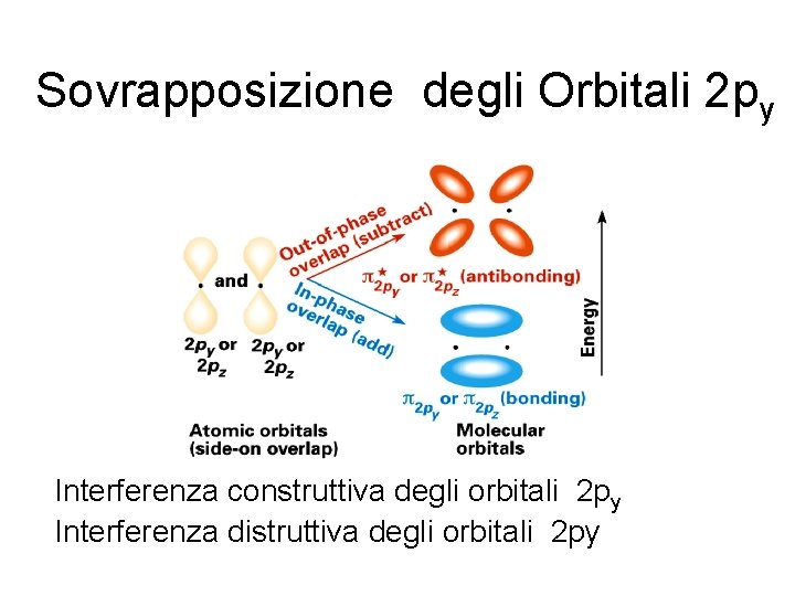 Sovrapposizione degli Orbitali 2 py Interferenza construttiva degli orbitali 2 py Interferenza distruttiva degli