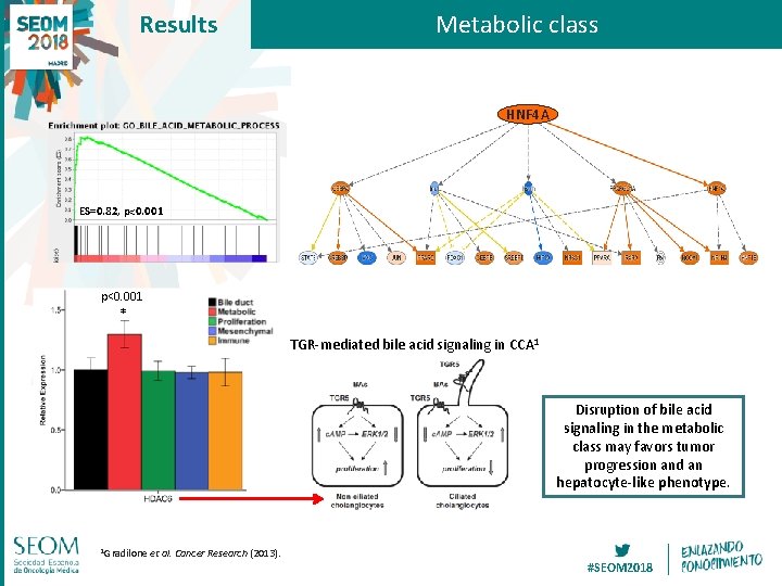 Results Metabolic class HNF 4 A ES=0. 82, p<0. 001 * TGR-mediated bile acid