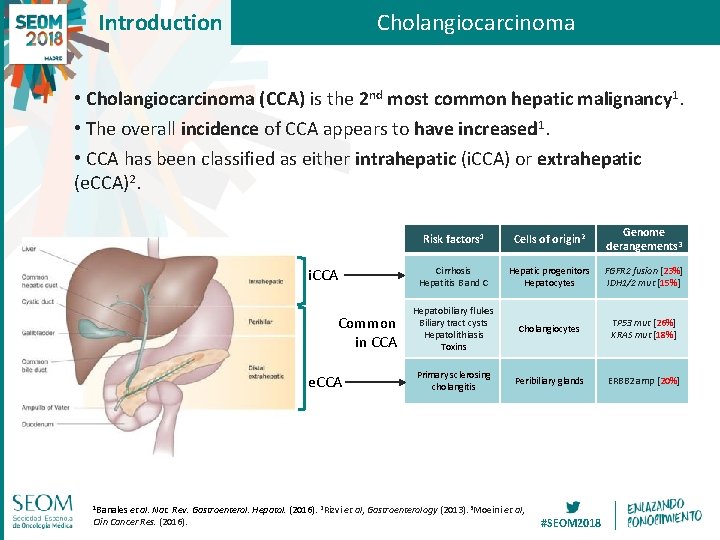 Introduction Cholangiocarcinoma • Cholangiocarcinoma (CCA) is the 2 nd most common hepatic malignancy 1.