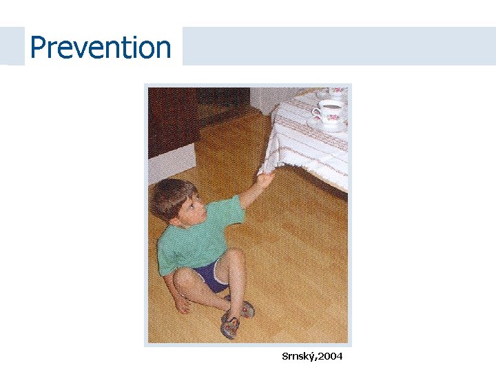 Prevention Srnský, 2004 