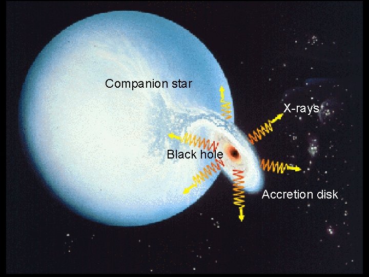 Black Holes Companion star X-rays Black hole Accretion disk 