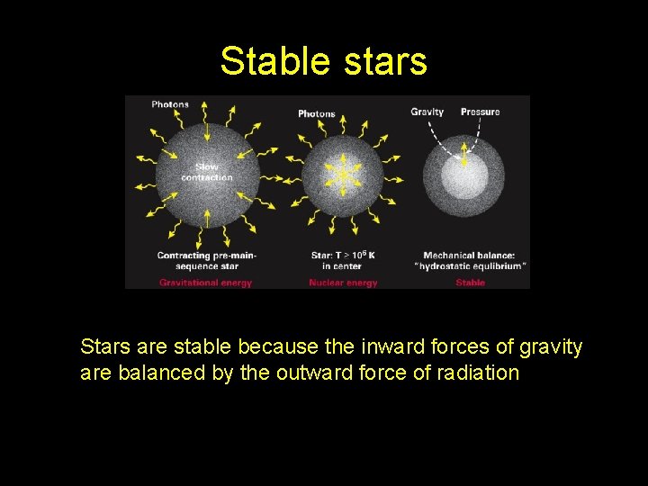 Stable stars Stars are stable because the inward forces of gravity are balanced by