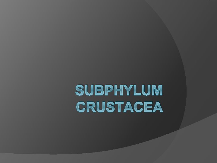 SUBPHYLUM CRUSTACEA 
