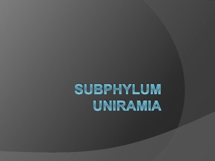 SUBPHYLUM UNIRAMIA 