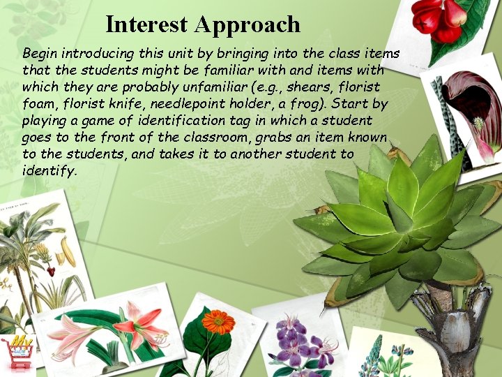 Interest Approach Begin introducing this unit by bringing into the class items that the