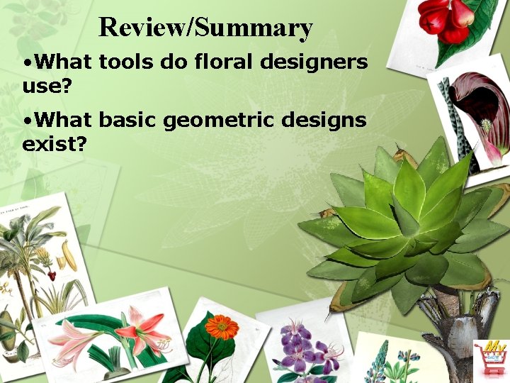 Review/Summary • What tools do floral designers use? • What basic geometric designs exist?