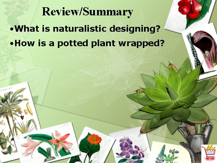 Review/Summary • What is naturalistic designing? • How is a potted plant wrapped? 