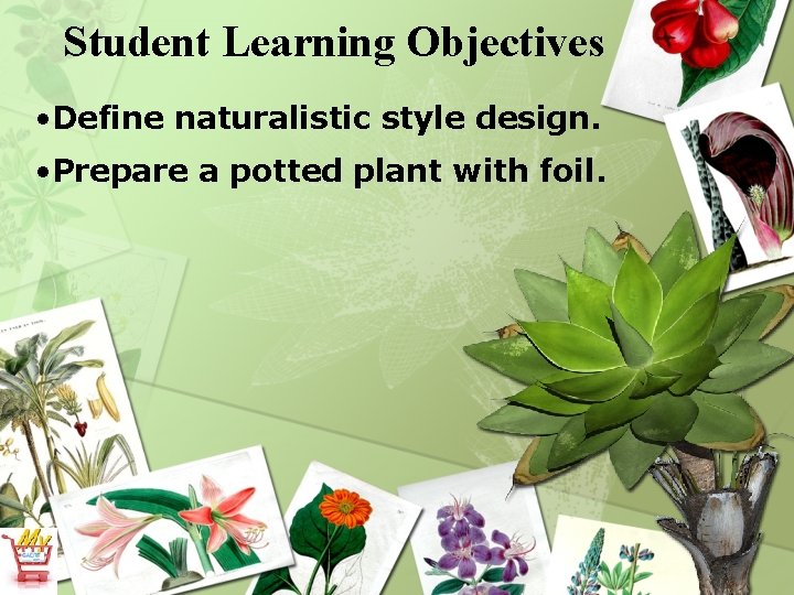 Student Learning Objectives • Define naturalistic style design. • Prepare a potted plant with