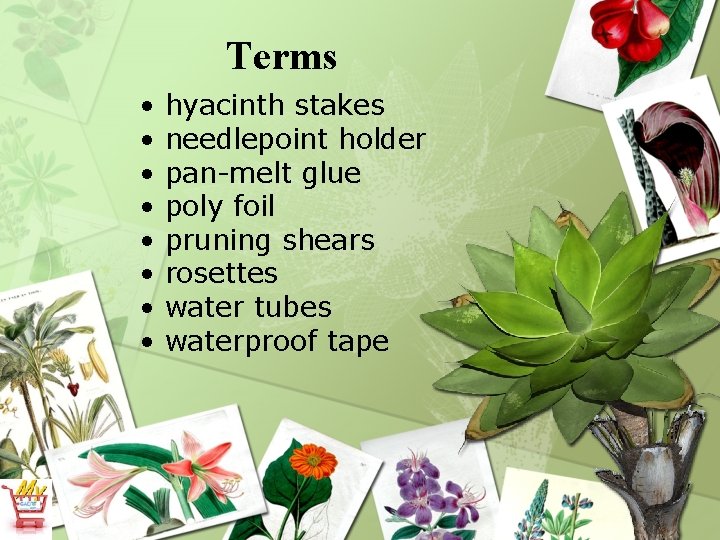 Terms • • hyacinth stakes needlepoint holder pan-melt glue poly foil pruning shears rosettes