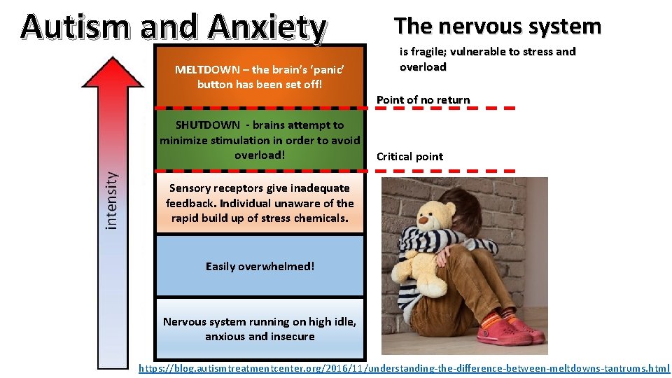 Autism and Anxiety MELTDOWN – the brain’s ‘panic’ button has been set off! The