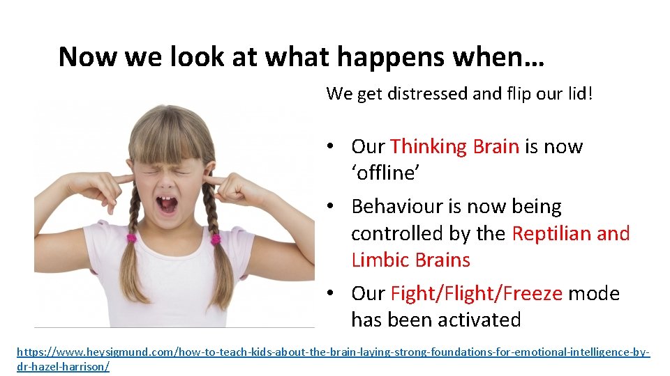 Now we look at what happens when… We get distressed and flip our lid!