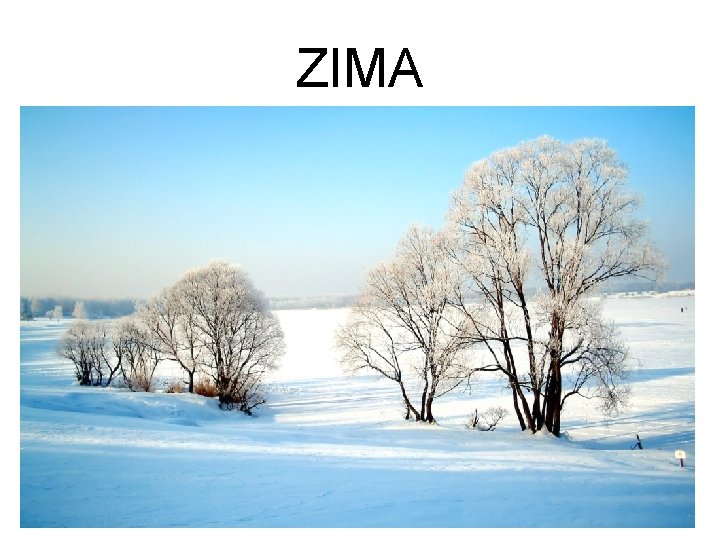 ZIMA 