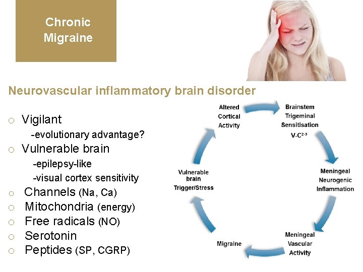 Chronic Migraine Neurovascular inflammatory brain disorder o Vigilant -evolutionary advantage? o Vulnerable brain o