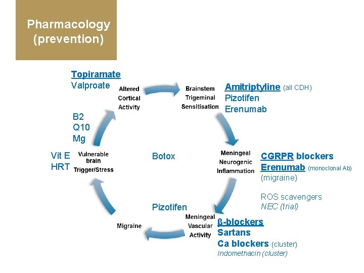 Pharmacology (prevention) Topiramate Valproate Amitriptyline (all CDH) Pizotifen Erenumab B 2 Q 10 Mg