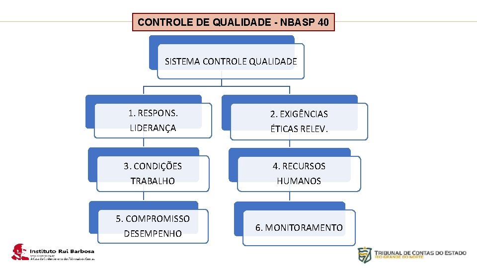 Plano de Ação IRB CONTROLE DE QUALIDADE - NBASP 40 SISTEMA CONTROLE QUALIDADE 1.