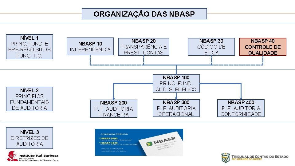 Plano de Ação IRB NÍVEL 1 PRINC. FUND. E PRÉ-REQUISITOS FUNC. T. C. NÍVEL