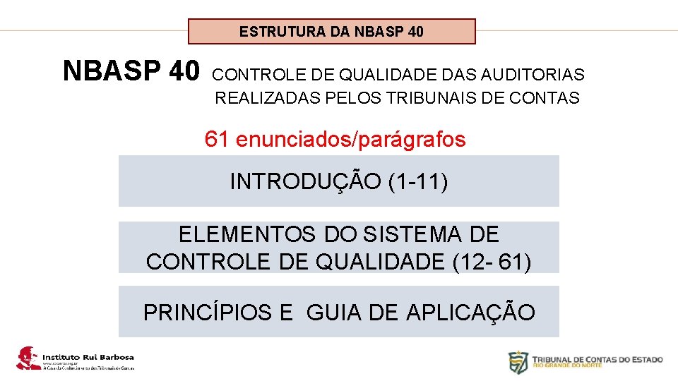 Plano de Ação IRB ESTRUTURA DA NBASP 40 CONTROLE DE QUALIDADE DAS AUDITORIAS REALIZADAS