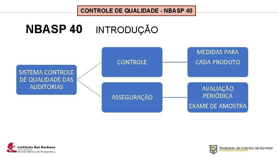 Plano de Ação IRB CONTROLE DE QUALIDADE - NBASP 40 INTRODUÇÃO MEDIDAS PARA CONTROLE