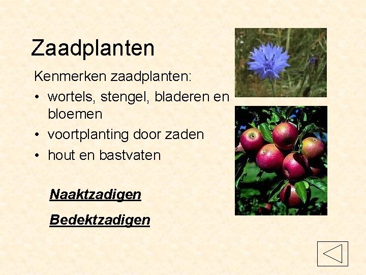 Zaadplanten Kenmerken zaadplanten: • wortels, stengel, bladeren en bloemen • voortplanting door zaden •